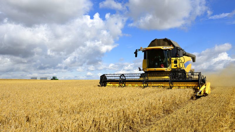 定制流程揭秘：全自动饲料机械费用构成解析**